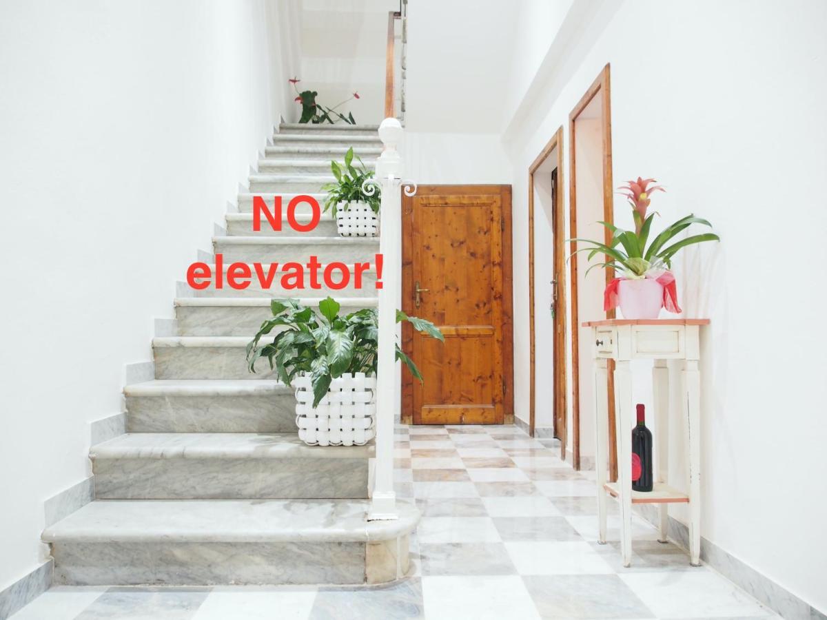 Eco Pisa Tower Guesthouse Eksteriør bilde